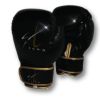 ST1 - Boxing Gloves Photo 1