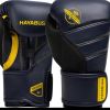 HayaBusa T3 Kids Boxing Glove Photo 1