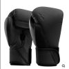 Hayabusa T360 Boxing Gloves Photo 3